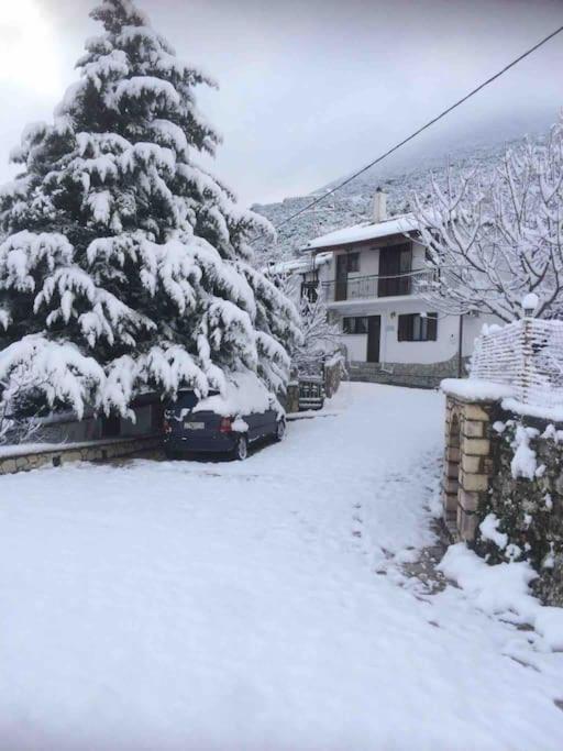 Theisoa.old Little House In The Garden . Andritsaina. Holiday home Andritsaina